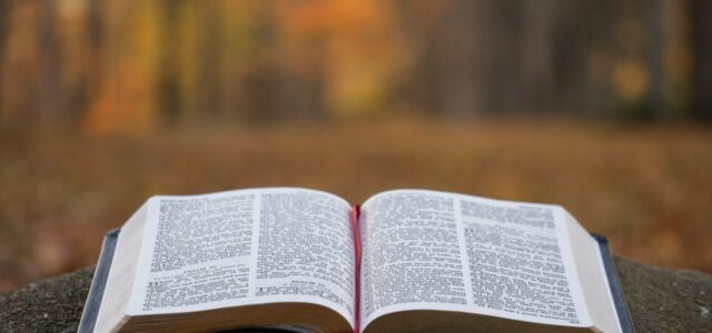 bible page on gray concrete surface